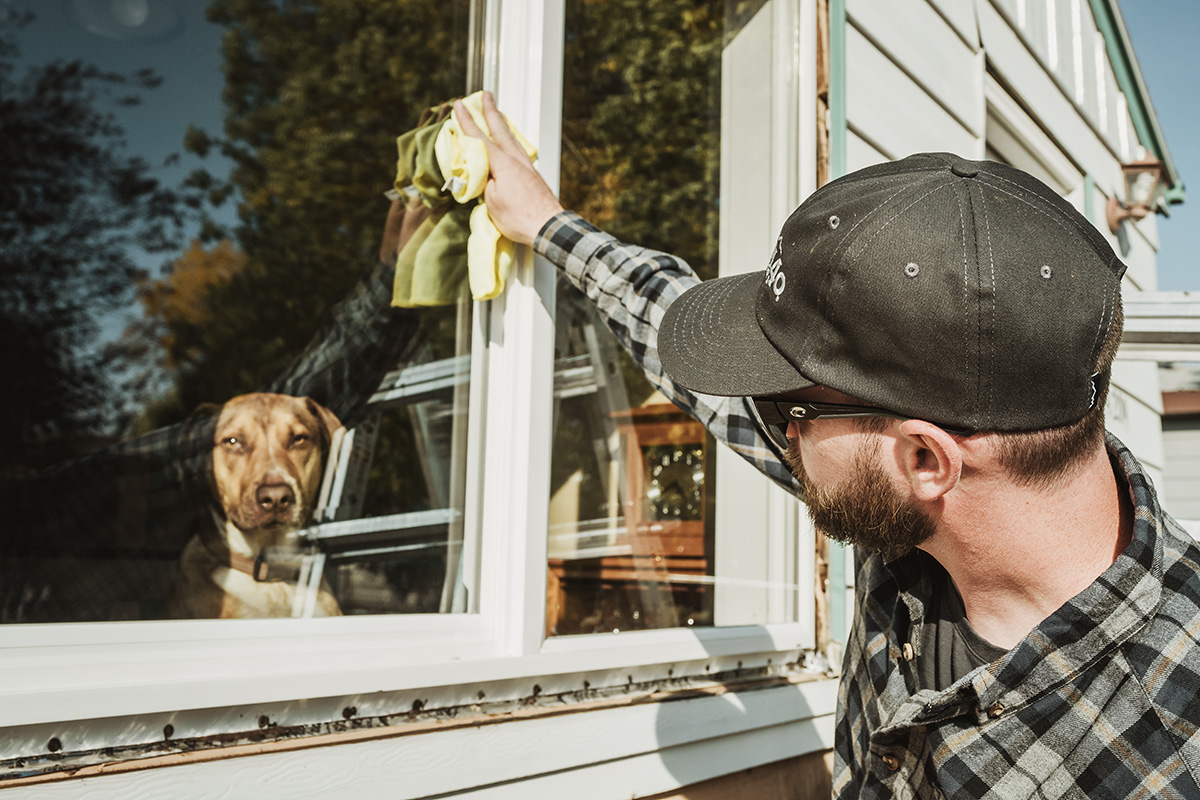 A man cleans the outside of the windows while a dog stares at hime from inside